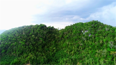 Mt. Abenlay Eco Tour Monkey Trail